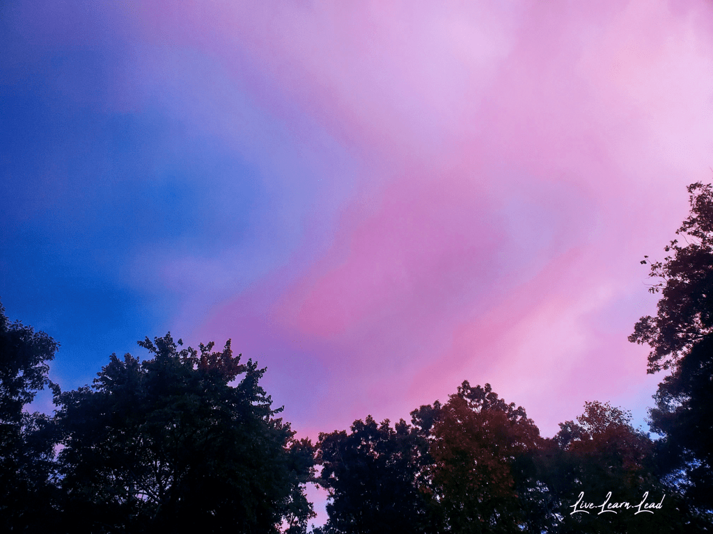 The sky is&nbsp;pink!