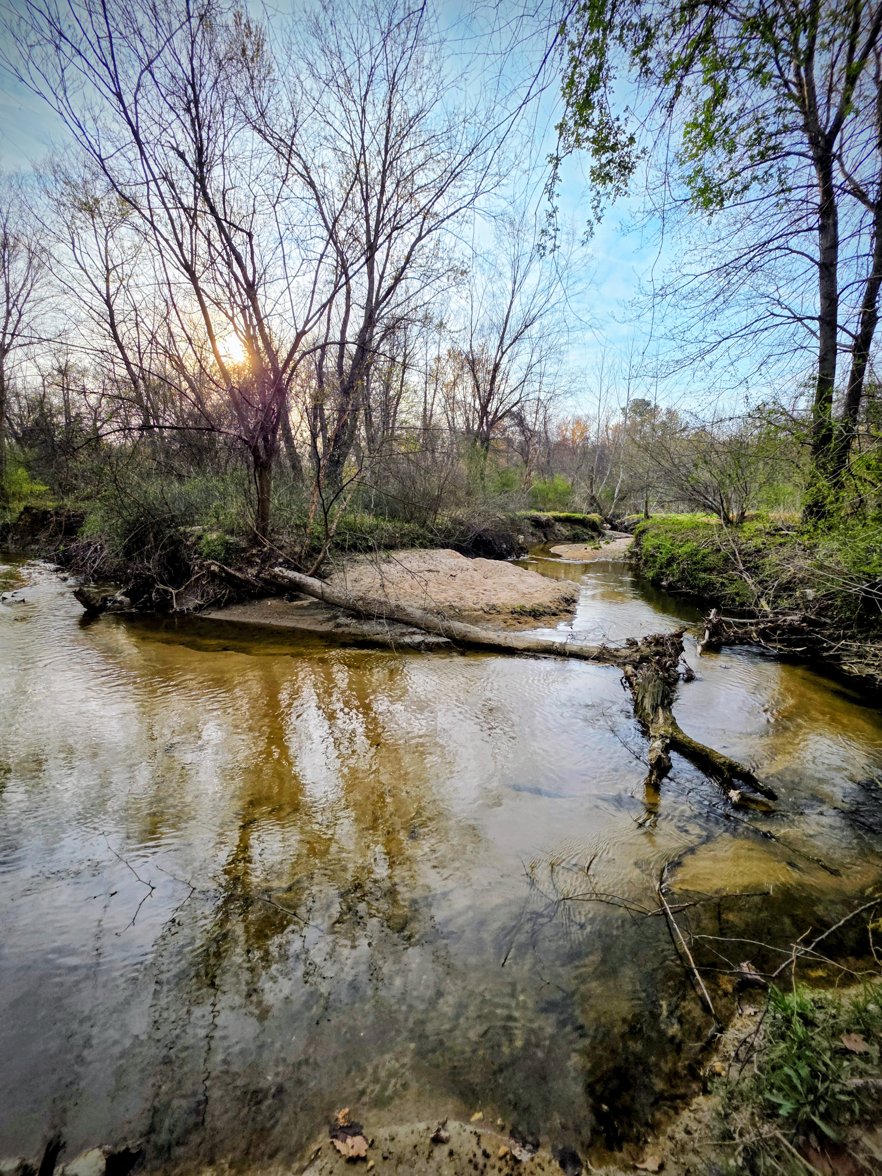 Why Wanting Peace Is a Form of Strength